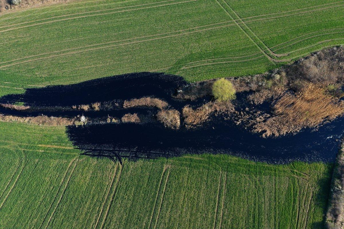 Edirne'deki asfalt şantiyesinden sızan ziftte son durum