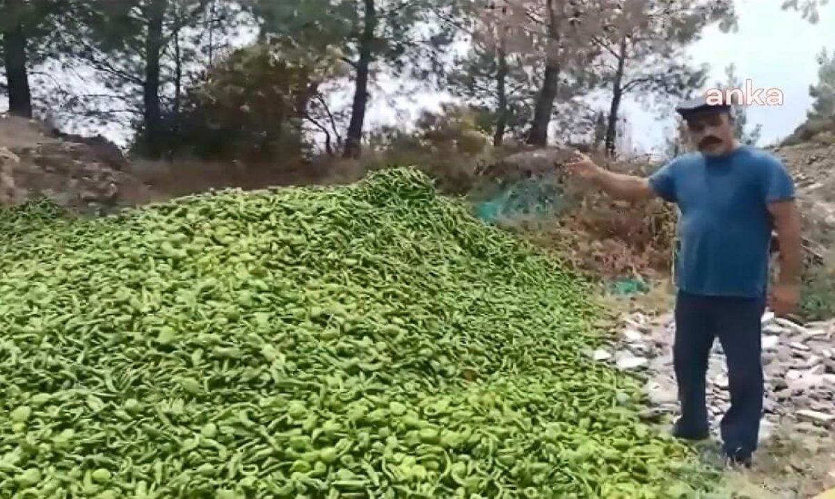 Ticaret Bakanlığı'ndan ormana dökülen biberlerle ilgili açıklama