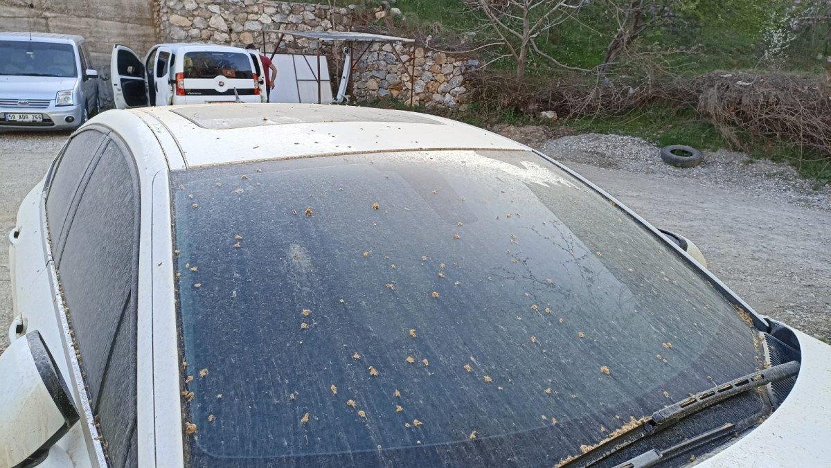 Toz taşınımı Güneydoğu'da etkisini gösterdi