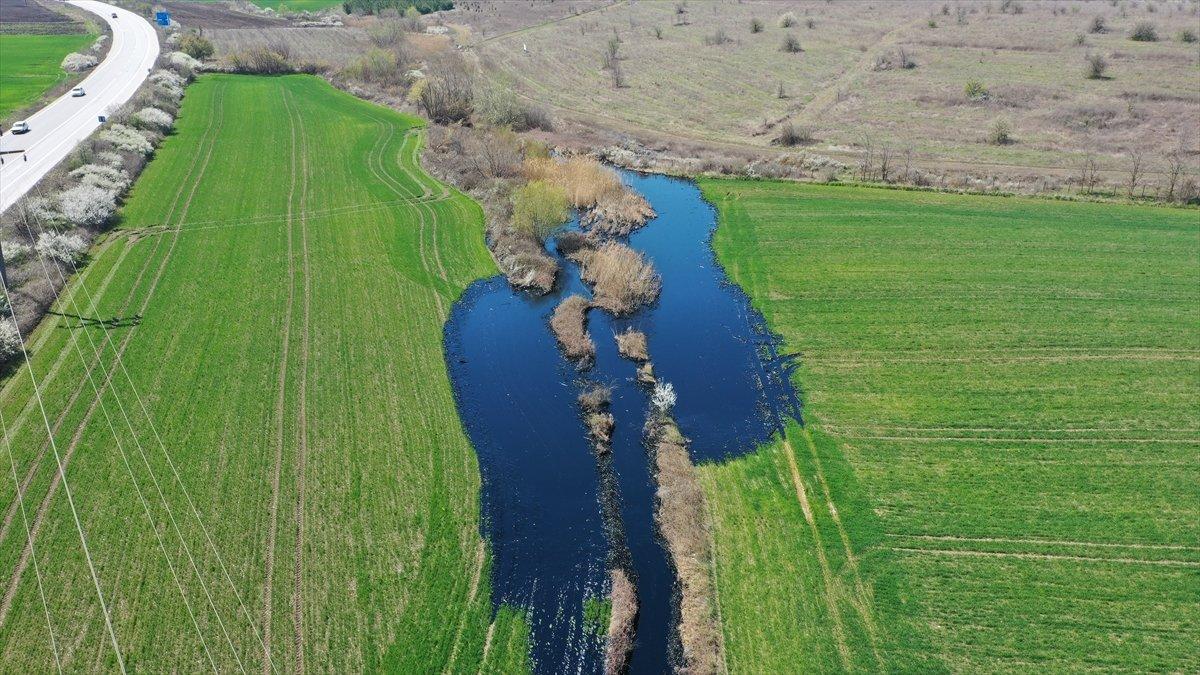 Edirne'deki asfalt şantiyesinden sızan ziftte son durum