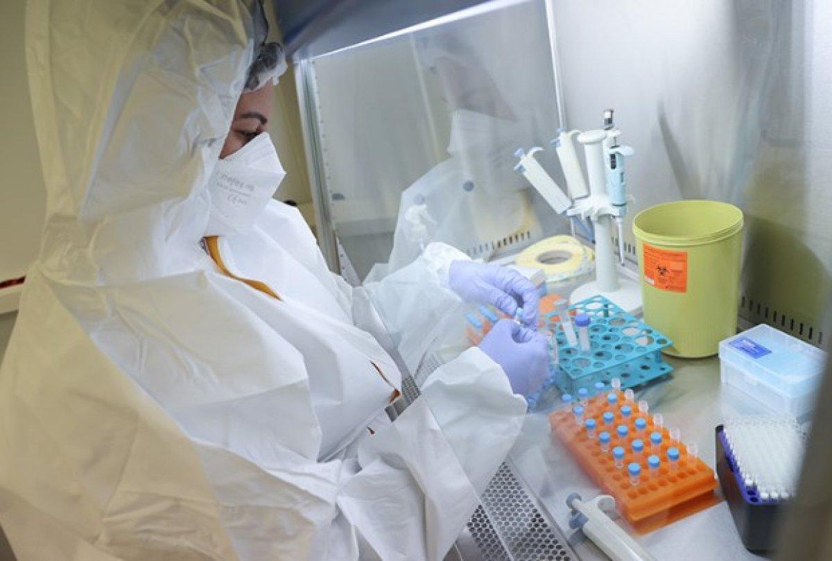 Yerli ve milli Kovid-19 tanı kiti, 30 dakikada sonuç verecek