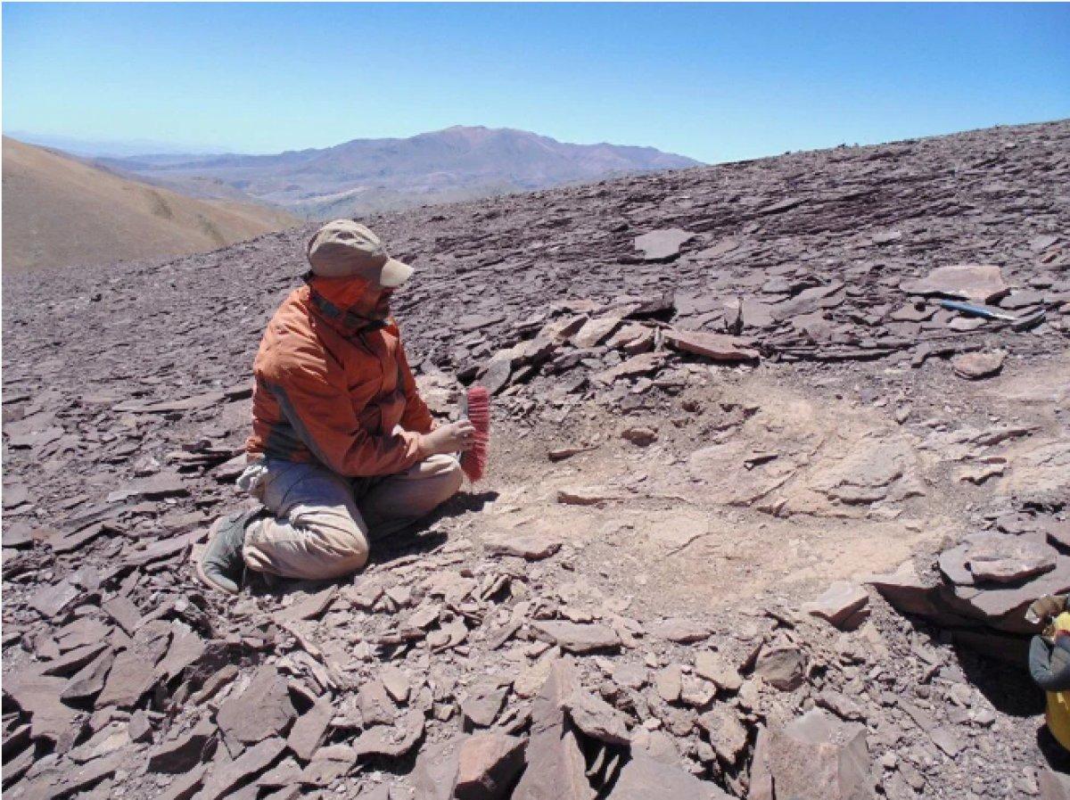 100 milyon yıllık pterosaur kemikleri bulundu