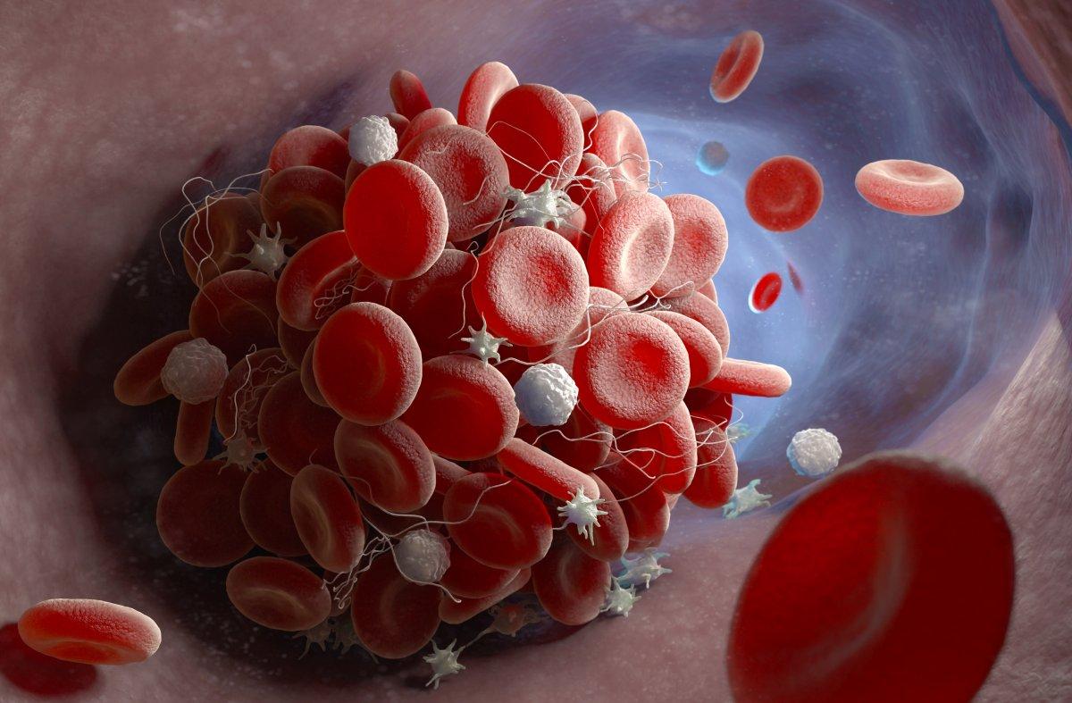 Kötü kolesterolü azaltan 8 yiyecek