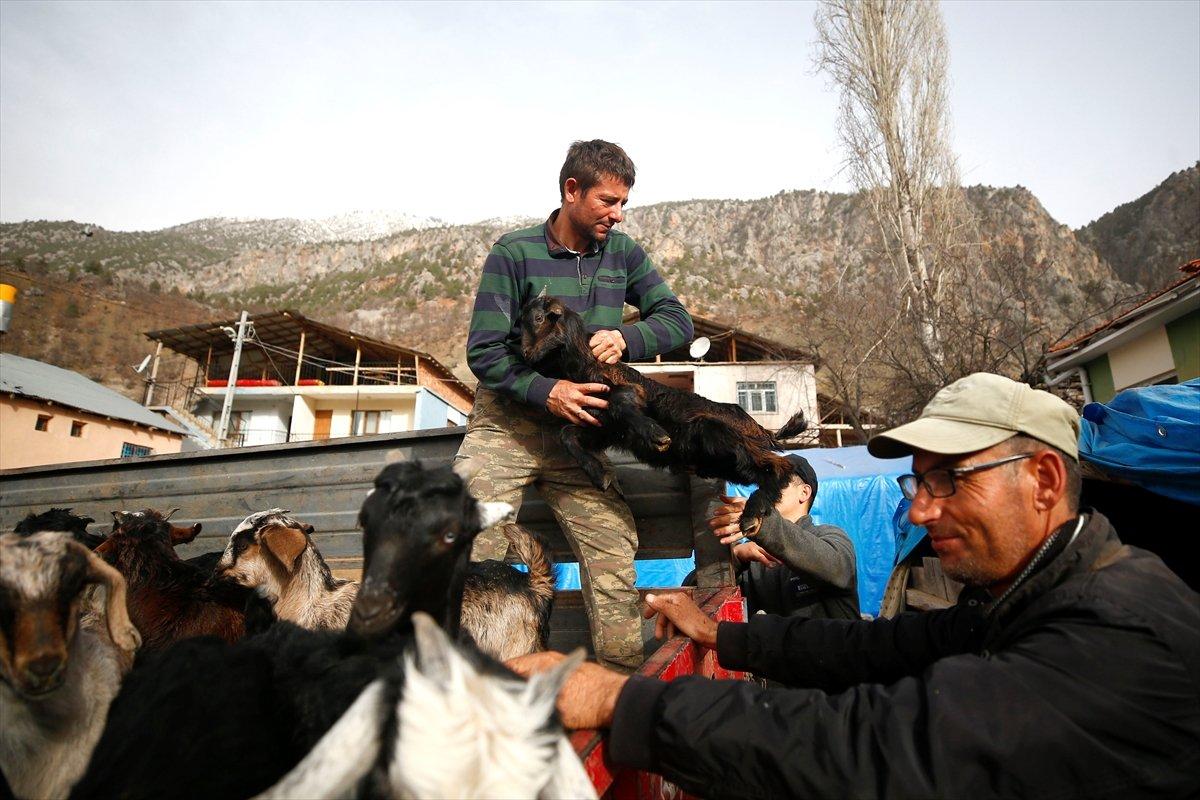 Kayserili besicilerin, sürüleriyle Aladağ yaylalarına zorlu yolculuğu