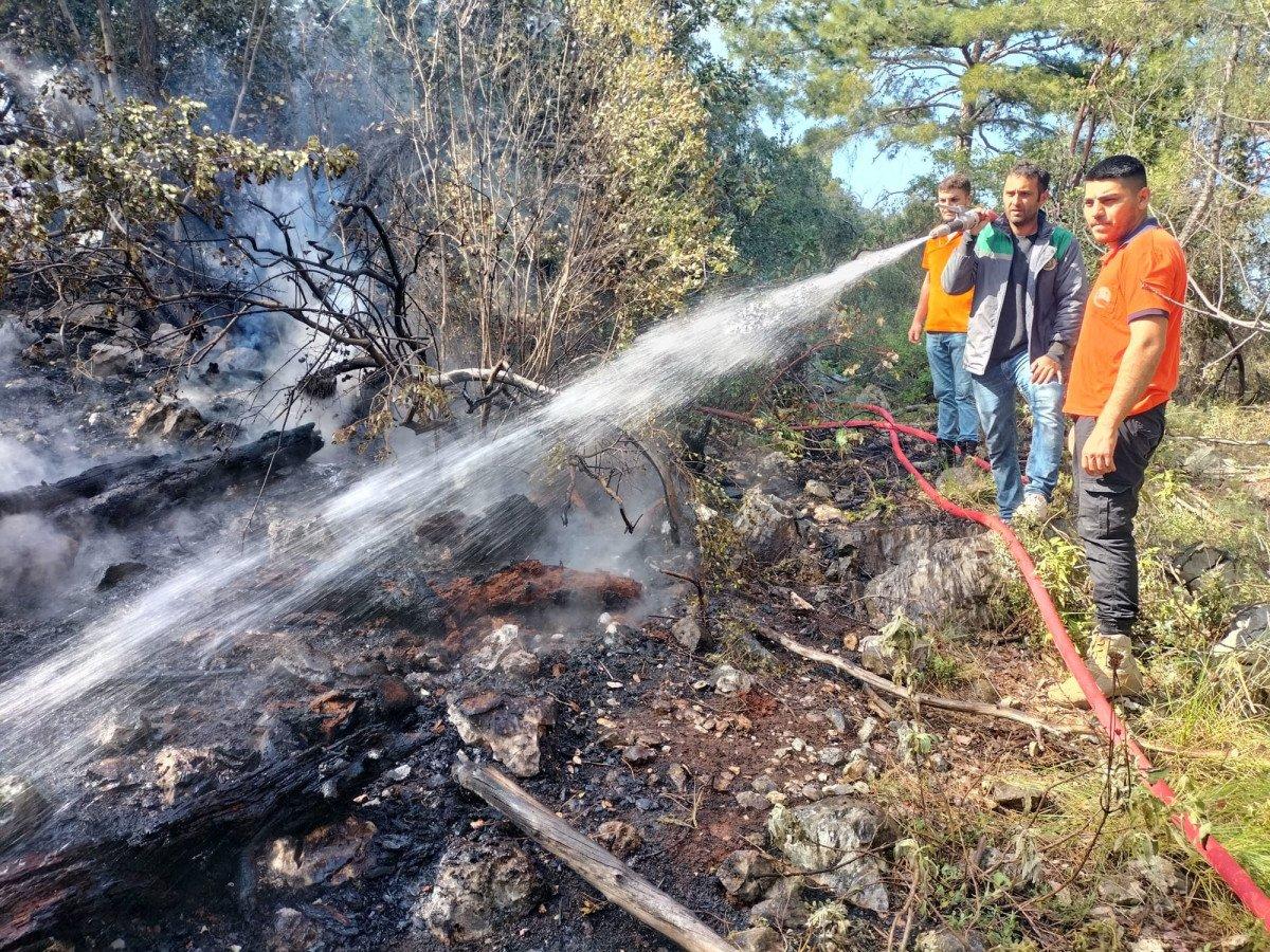 Antalya'da, ormanda çıkan yangın söndürüldü
