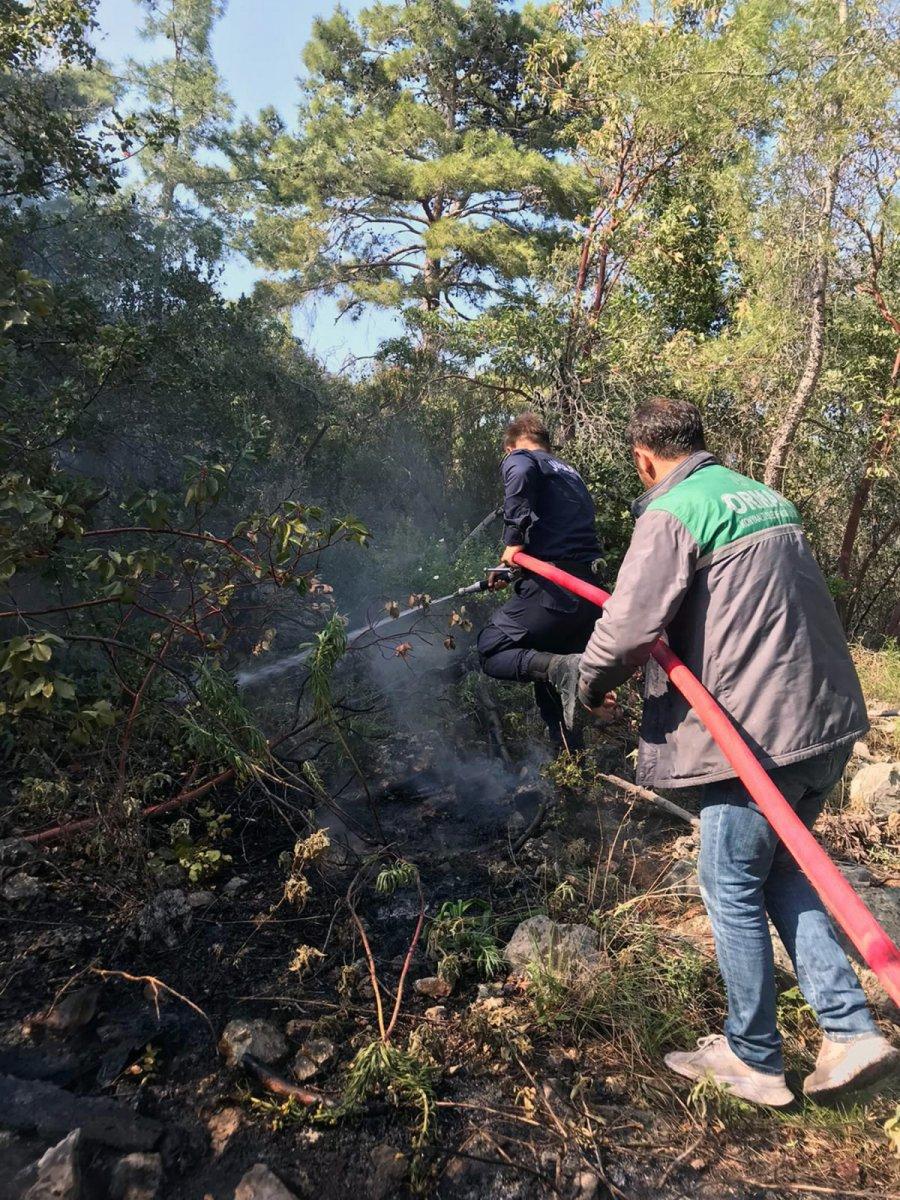 Antalya'da, ormanda çıkan yangın söndürüldü