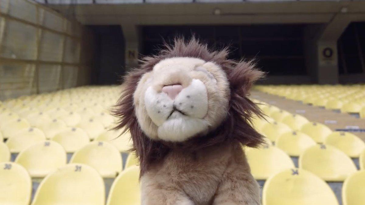 Fenerbahçe'den maç sonu paylaşımı