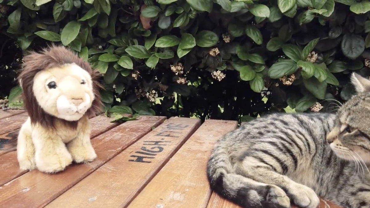 Fenerbahçe'den maç sonu paylaşımı