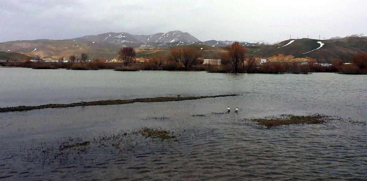 Hakkari'de yağmur sonrası dere taştı