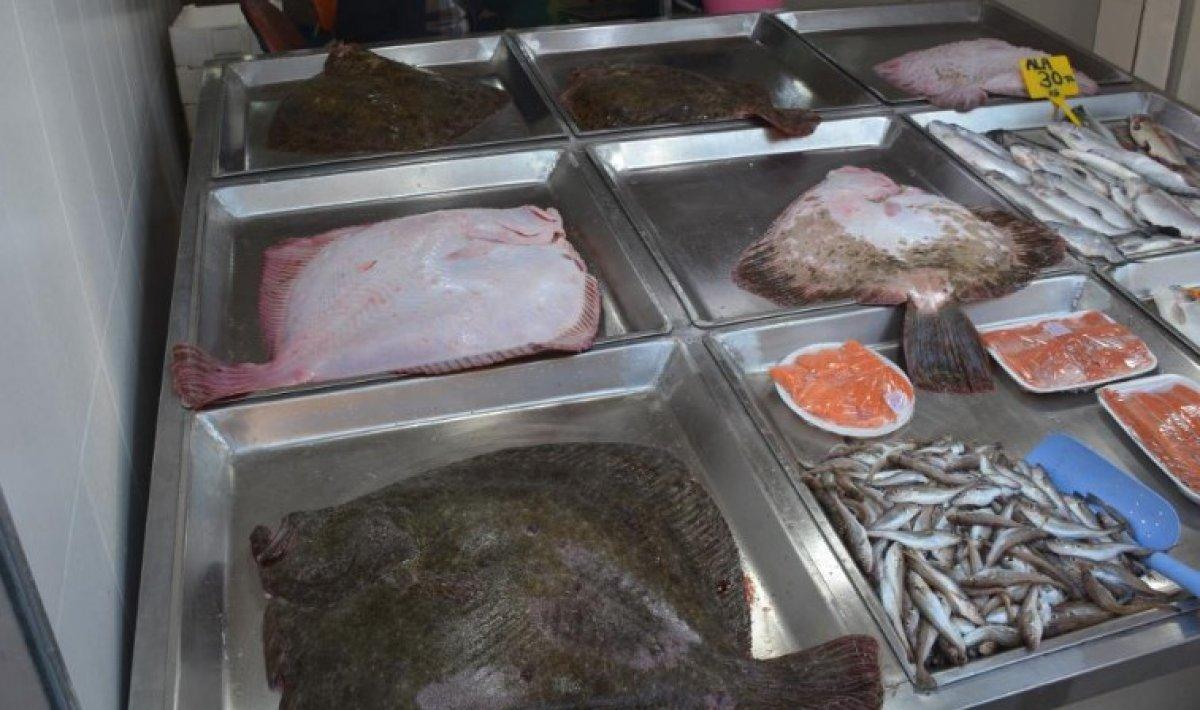 Sinop'ta balıkçıların ağına dev kalkan balıkları takıldı