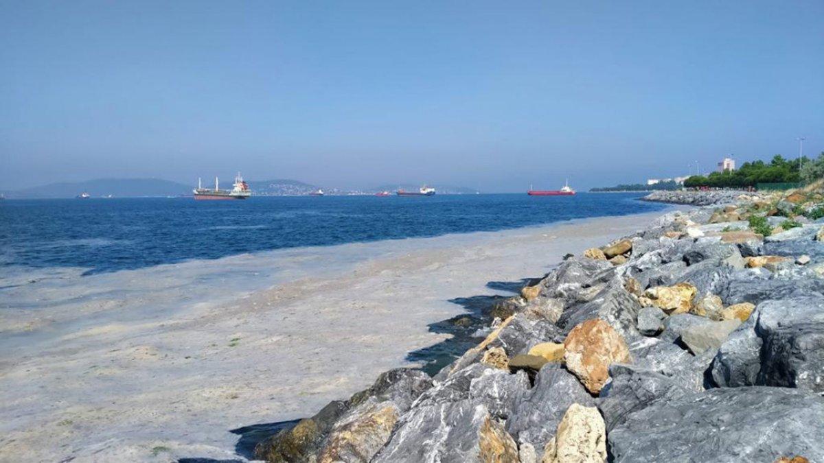 Araştırma Komisyonu'ndan TBMM'ye müsilaja karşı 157 çözüm önerisi