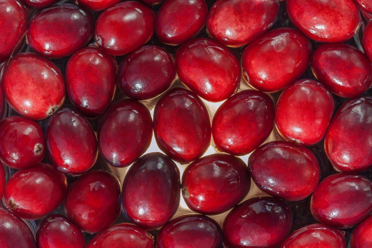 Böbrekleri temizleyen 12 besin