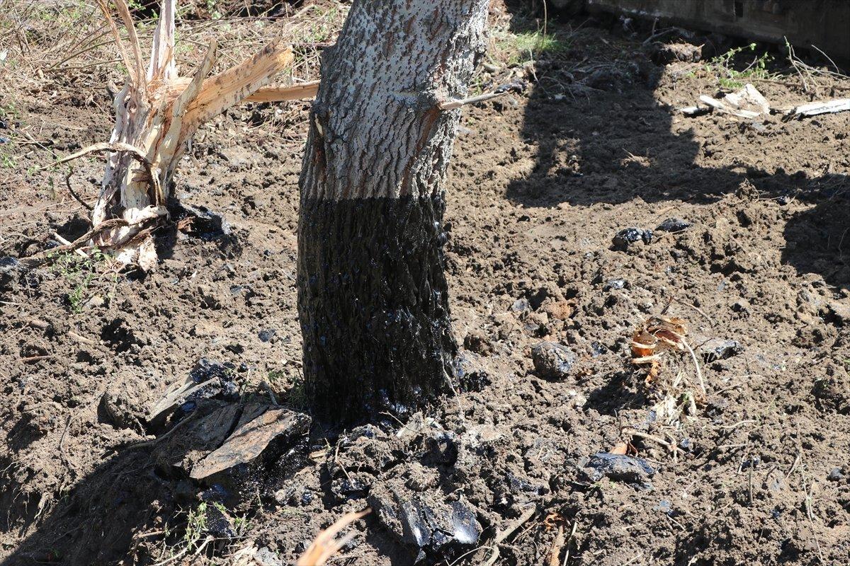 Edirne'de zift deposu patlayan şirketin faaliyetlerine ara verildi