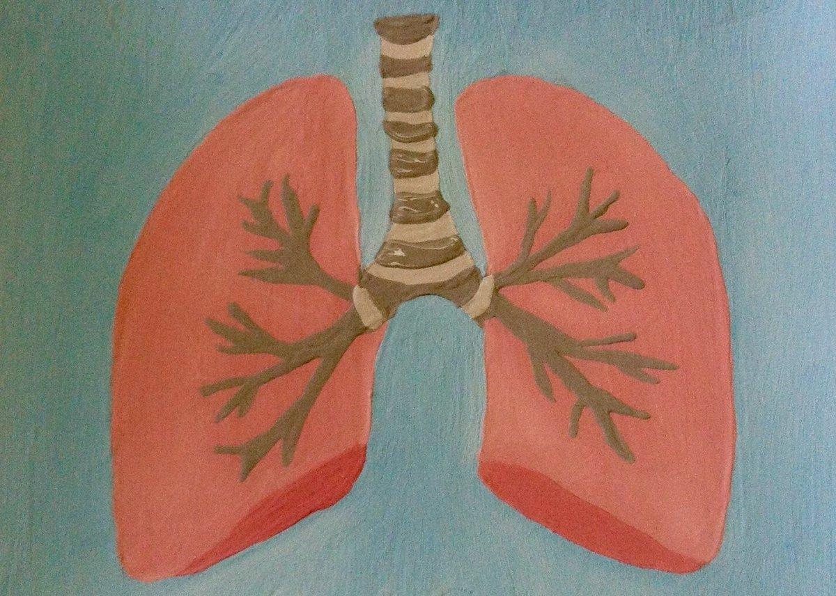 Esneme hakkında az bilinen 6 şaşırtıcı gerçek