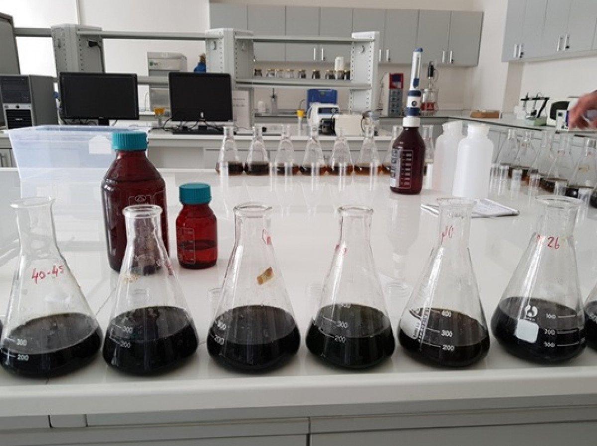 Marmara Denizi'nde müsilajdan sonra toksik madde tehlikesi