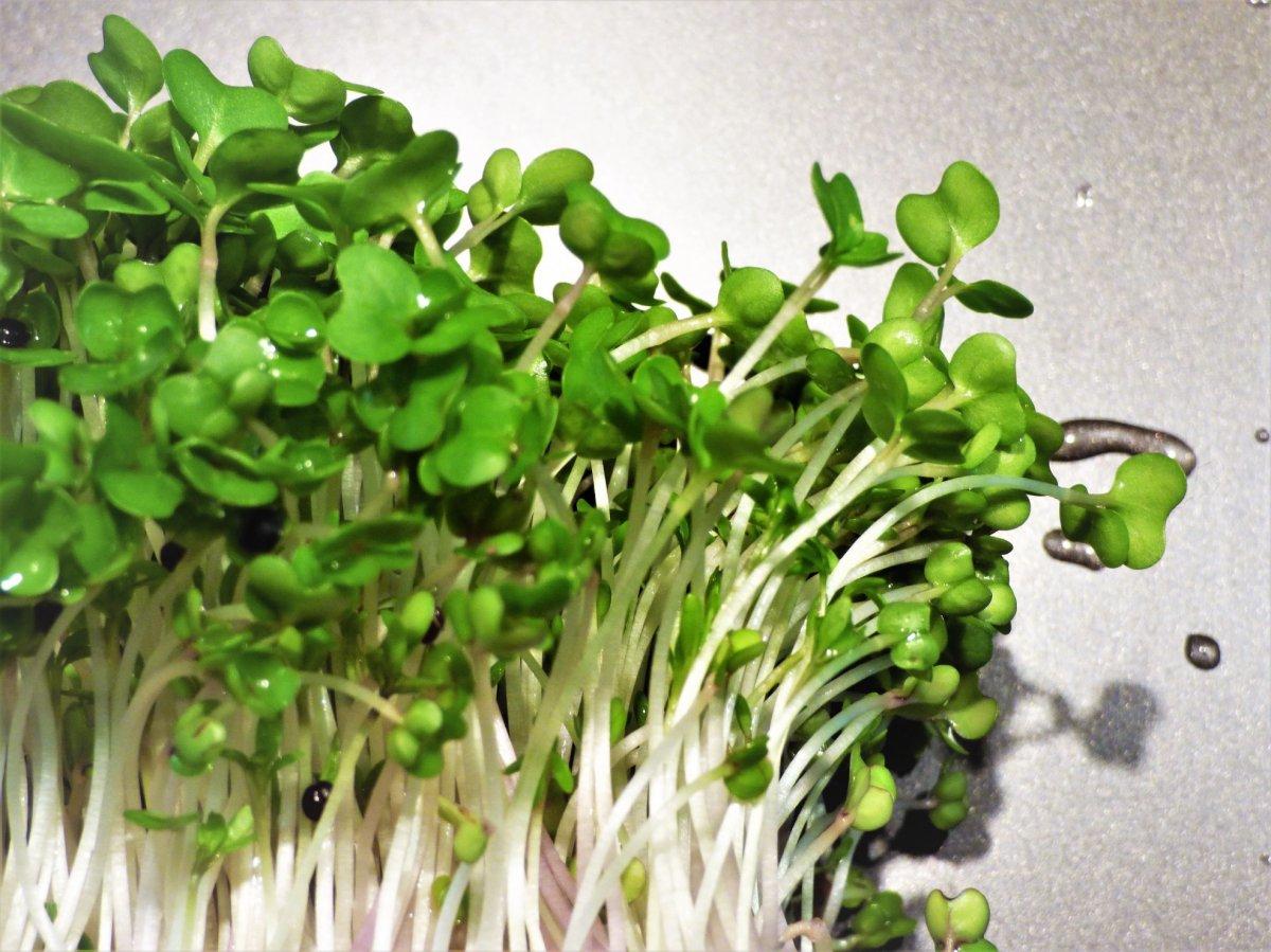 Kalsiyum eksikliğini gösteren 9 işaret