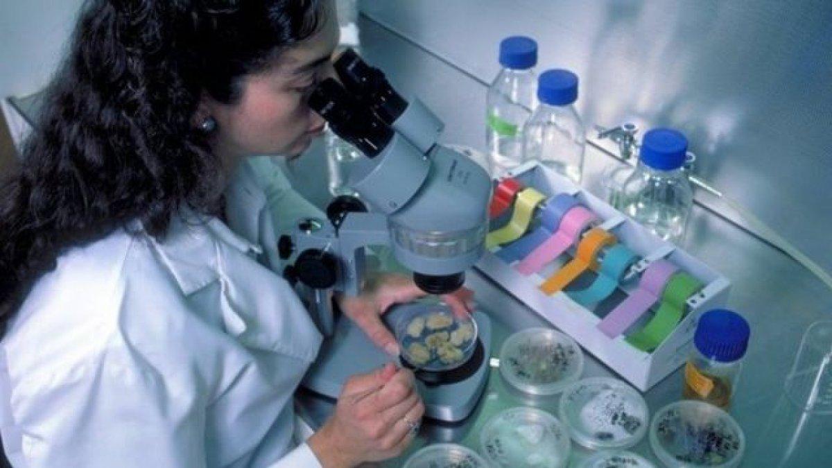 Dünya okyanuslarında tehlike: 5 bin 500’den fazla yeni virüs