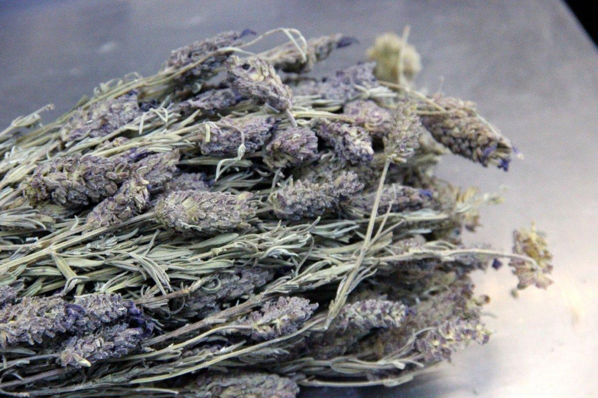 Sigara bıraktıran doğal yöntem: Karabaş otu