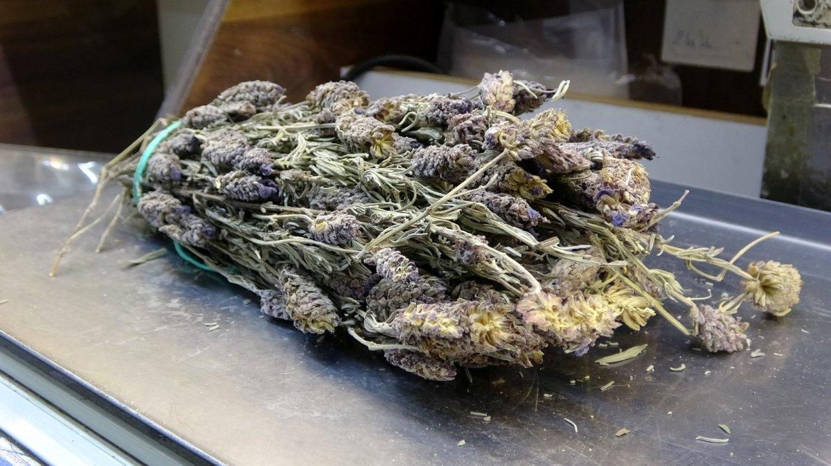 Sigara bıraktıran doğal yöntem: Karabaş otu