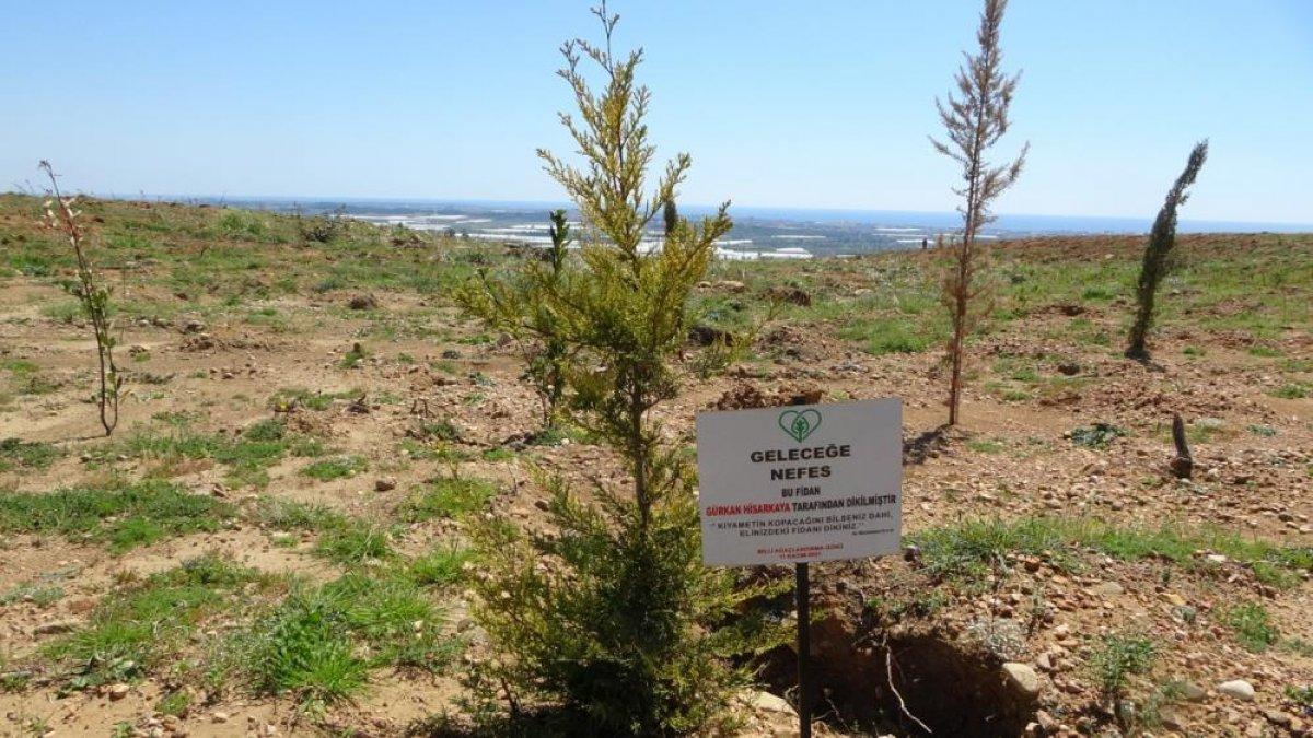 Manavgat’ta yanan bölgenin yüzde 70’i ağaçlandırıldı