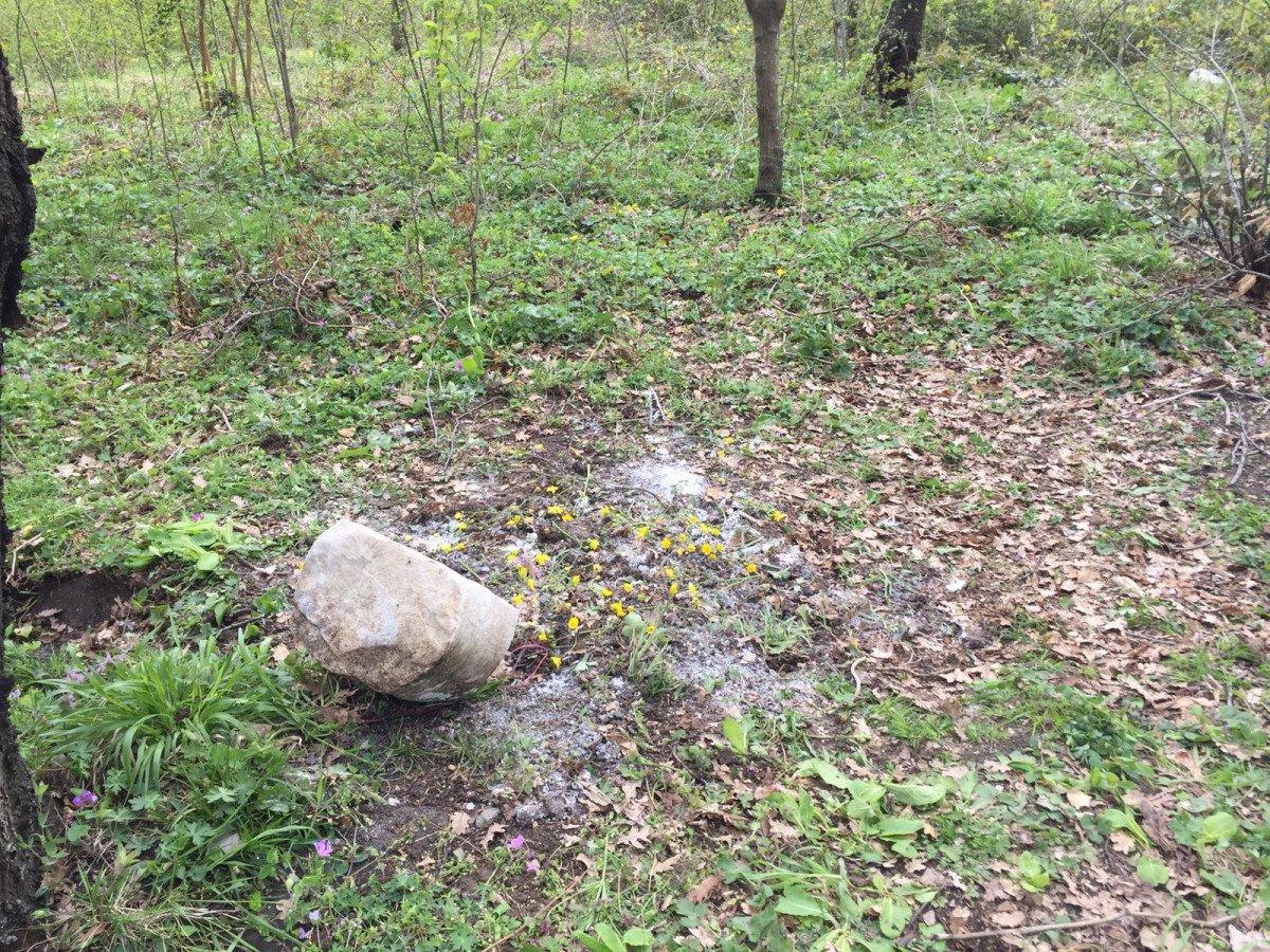 Zonguldak’ta bebek cesedi gömüldü sanıldı, mezardan kedi ölüsü çıktı