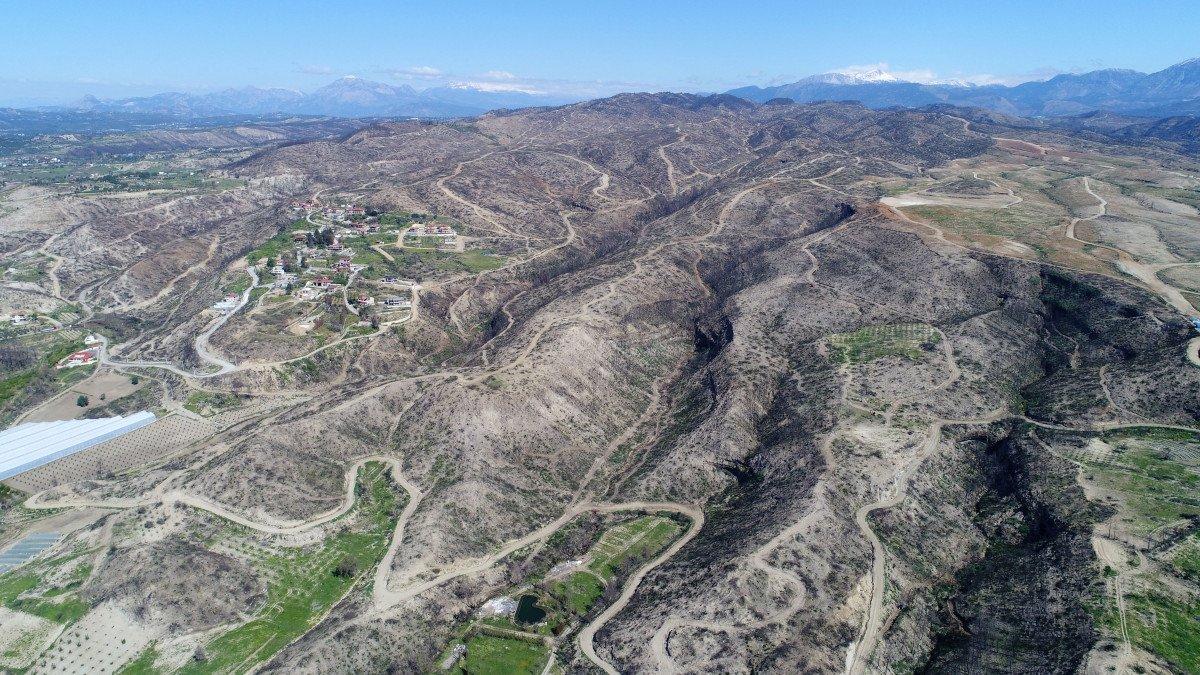 Manavgatlı yangın mağdurlarına müjde: Evler tamamlanmak üzere