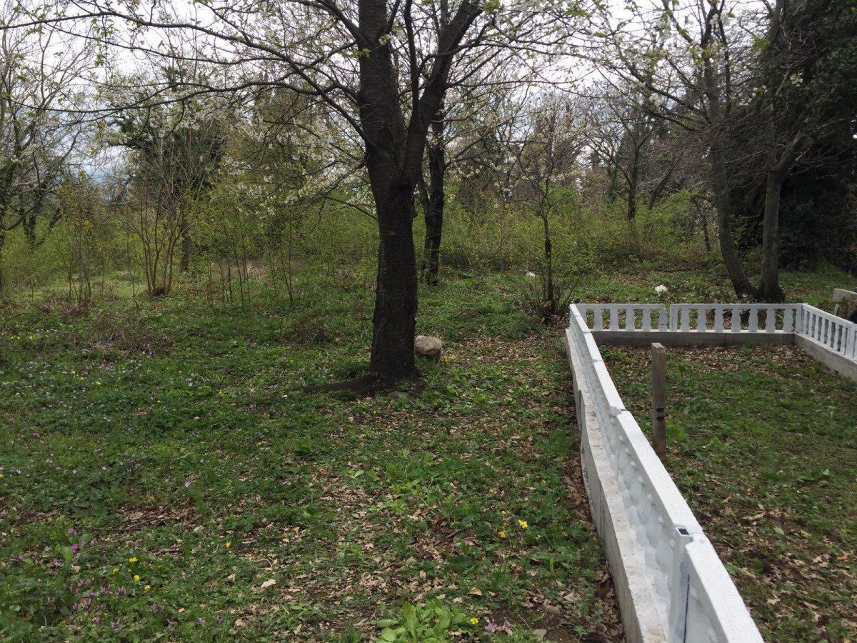 Zonguldak’ta bebek cesedi gömüldü sanıldı, mezardan kedi ölüsü çıktı