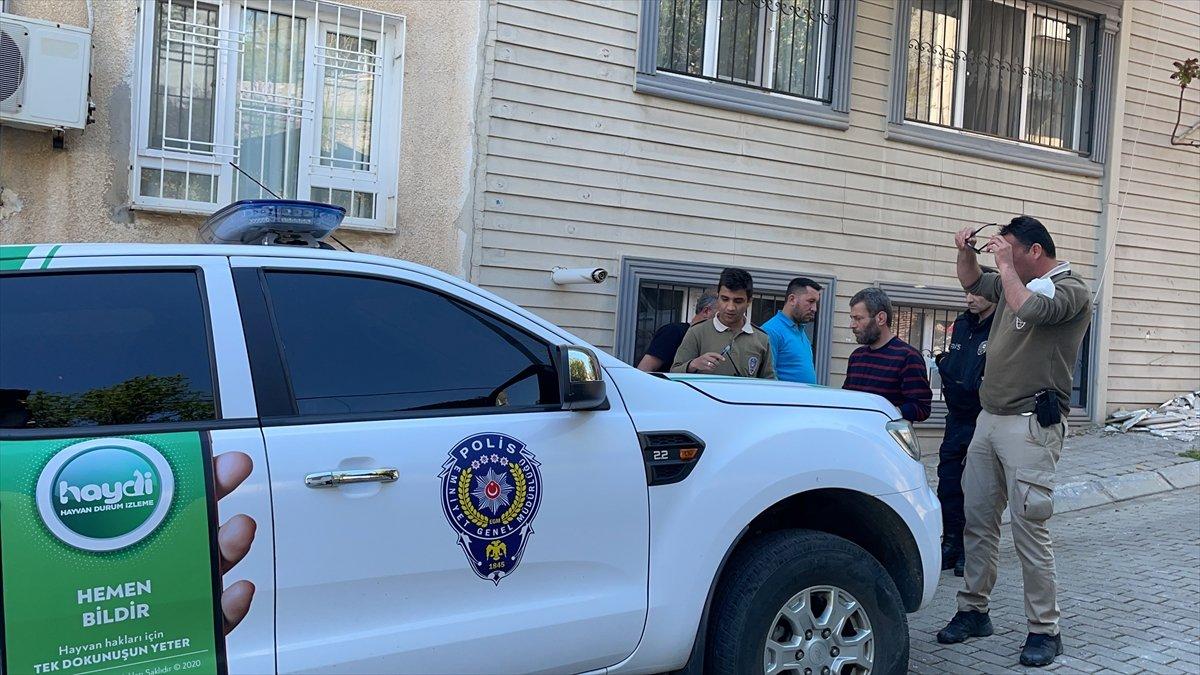 Aydın'da bir öğretmen pitbullun saldırısına uğradı