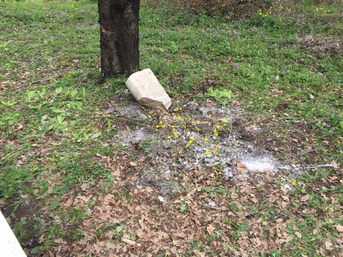Zonguldak’ta bebek cesedi gömüldü sanıldı, mezardan kedi ölüsü çıktı
