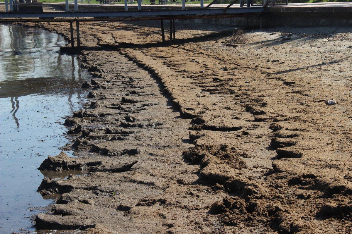 Kocaeli'de sahilden 360 ton hayvan gübresi çıkartıldı