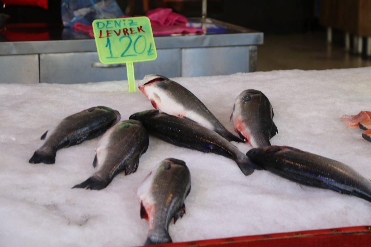 Rize'de sezonun son balıkları tezgahlarda yerini aldı