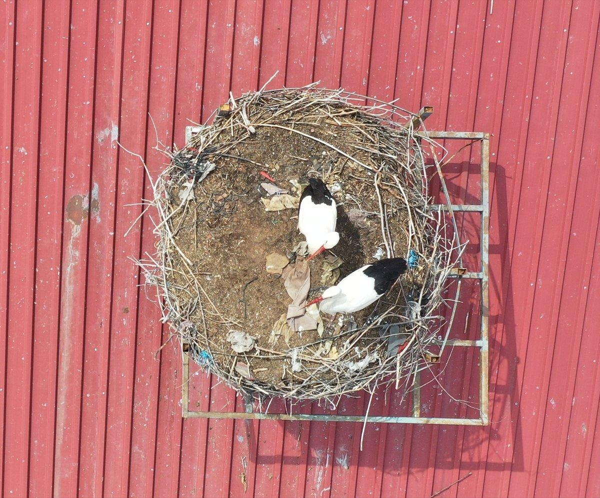 Sivas'ta leylekli okulun misafirleri geldi