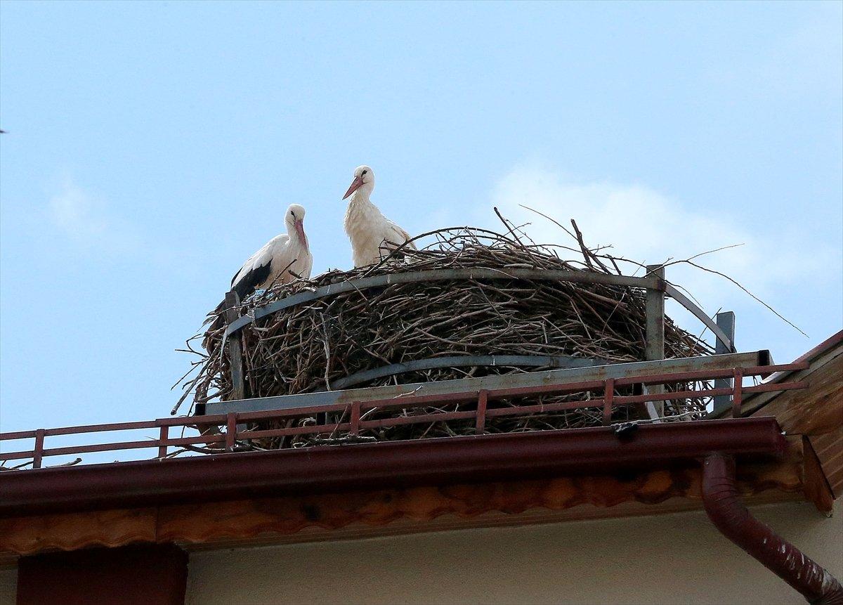 Sivas'ta leylekli okulun misafirleri geldi