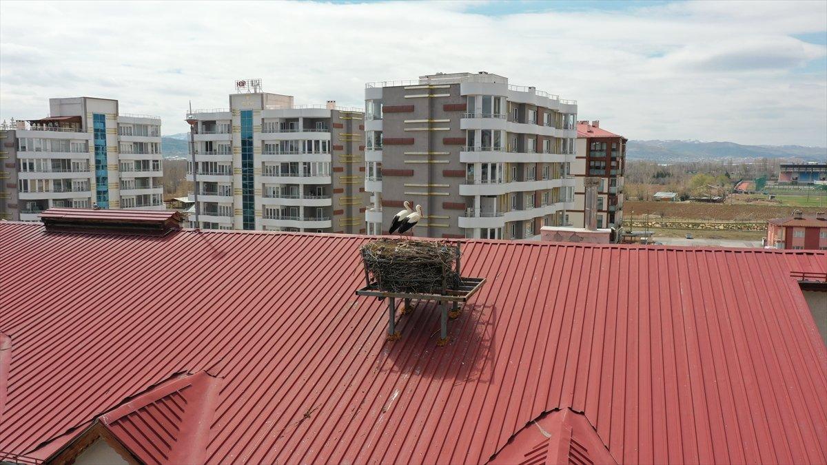 Sivas'ta leylekli okulun misafirleri geldi