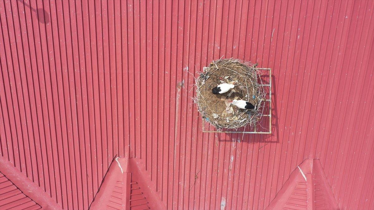 Sivas'ta leylekli okulun misafirleri geldi