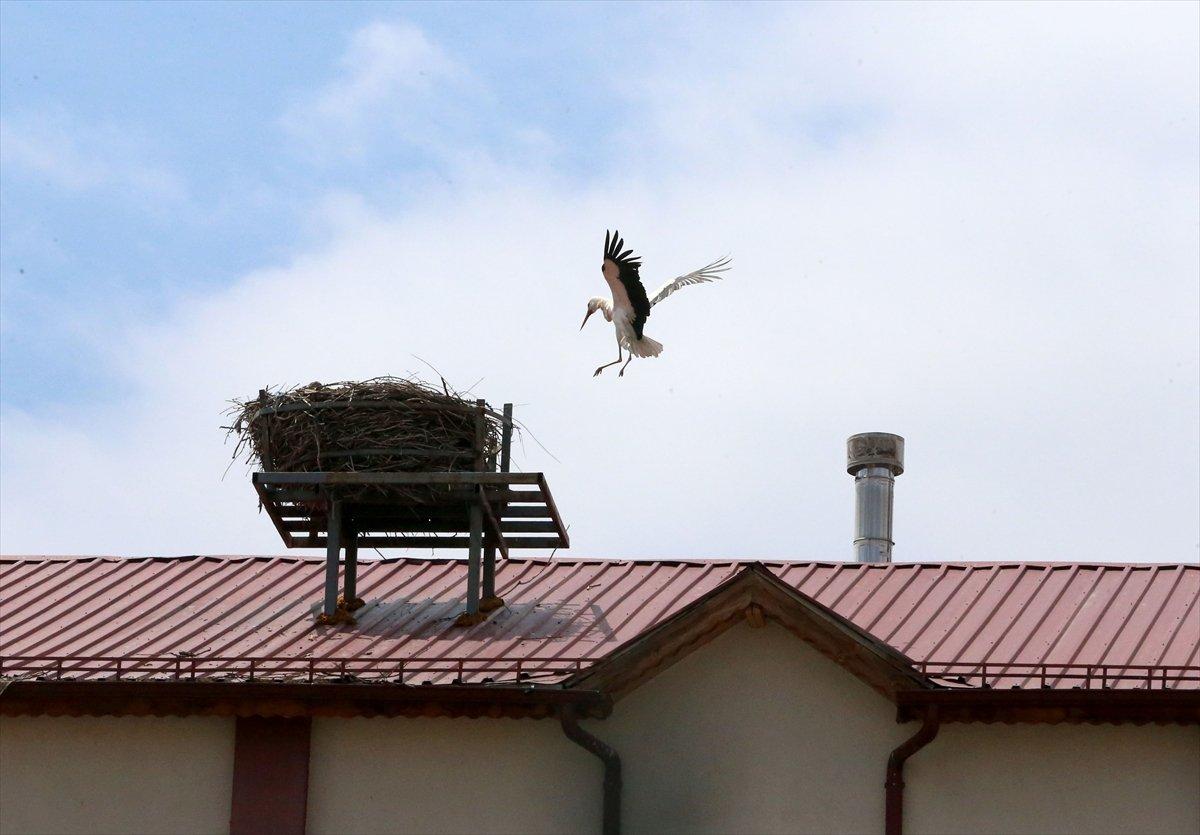 Sivas'ta leylekli okulun misafirleri geldi