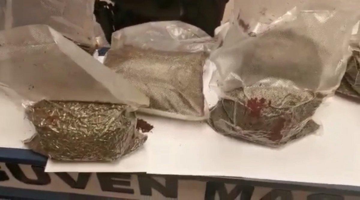 Şişli'de yarım milyon değerinde bonzai ele geçirildi