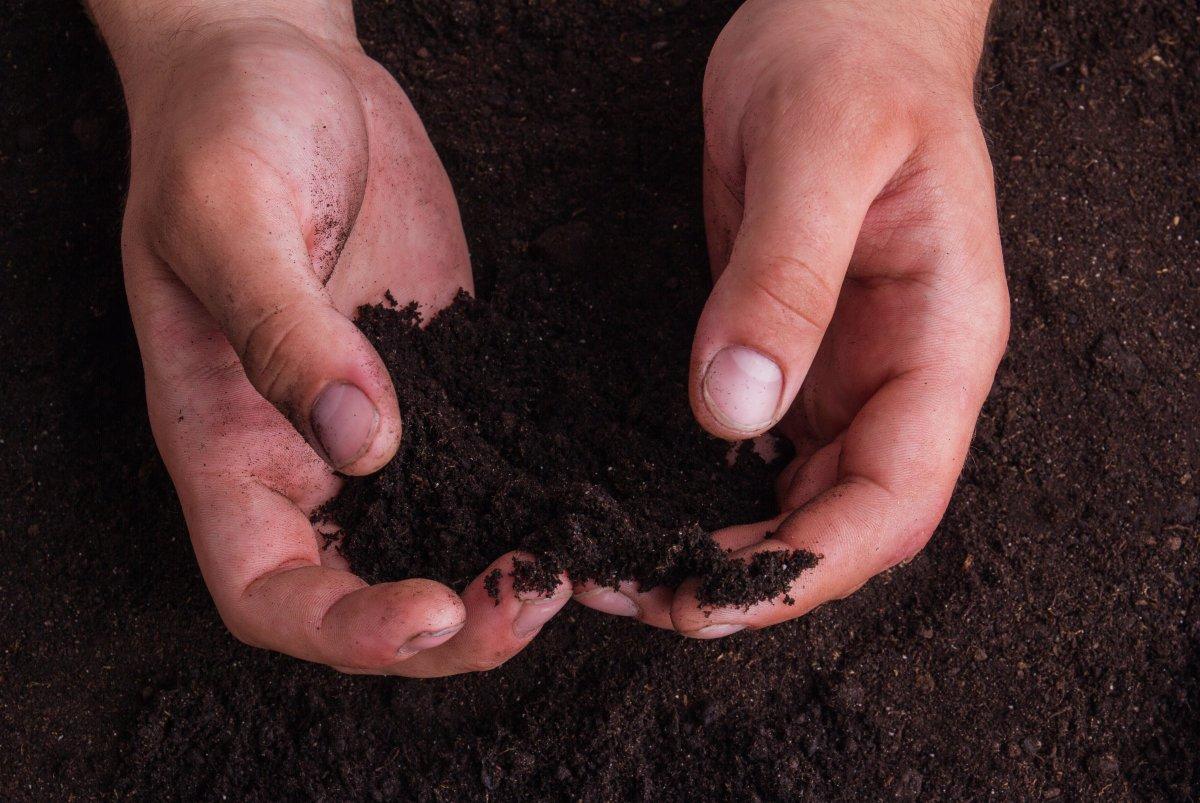 Çok garip ve nadir 10 hastalık