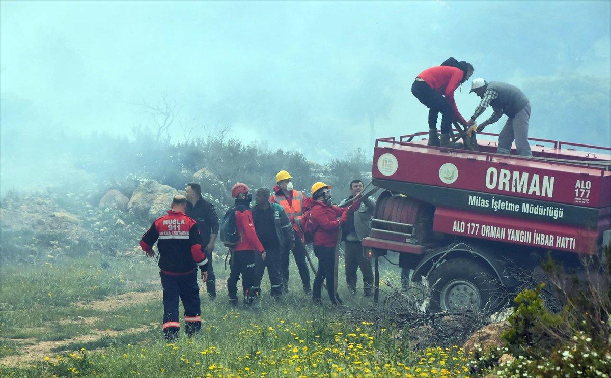 Bodrum'da ormanlık alanda yangın çıktı