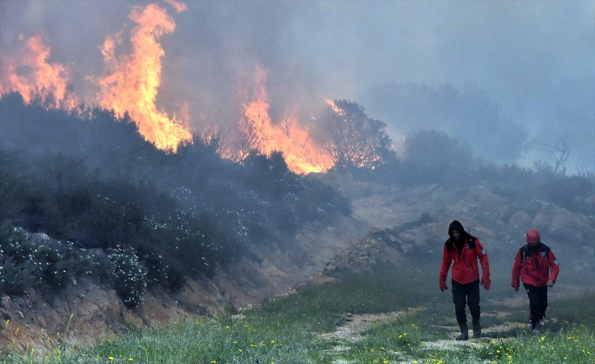 Bodrum'da ormanlık alanda yangın çıktı