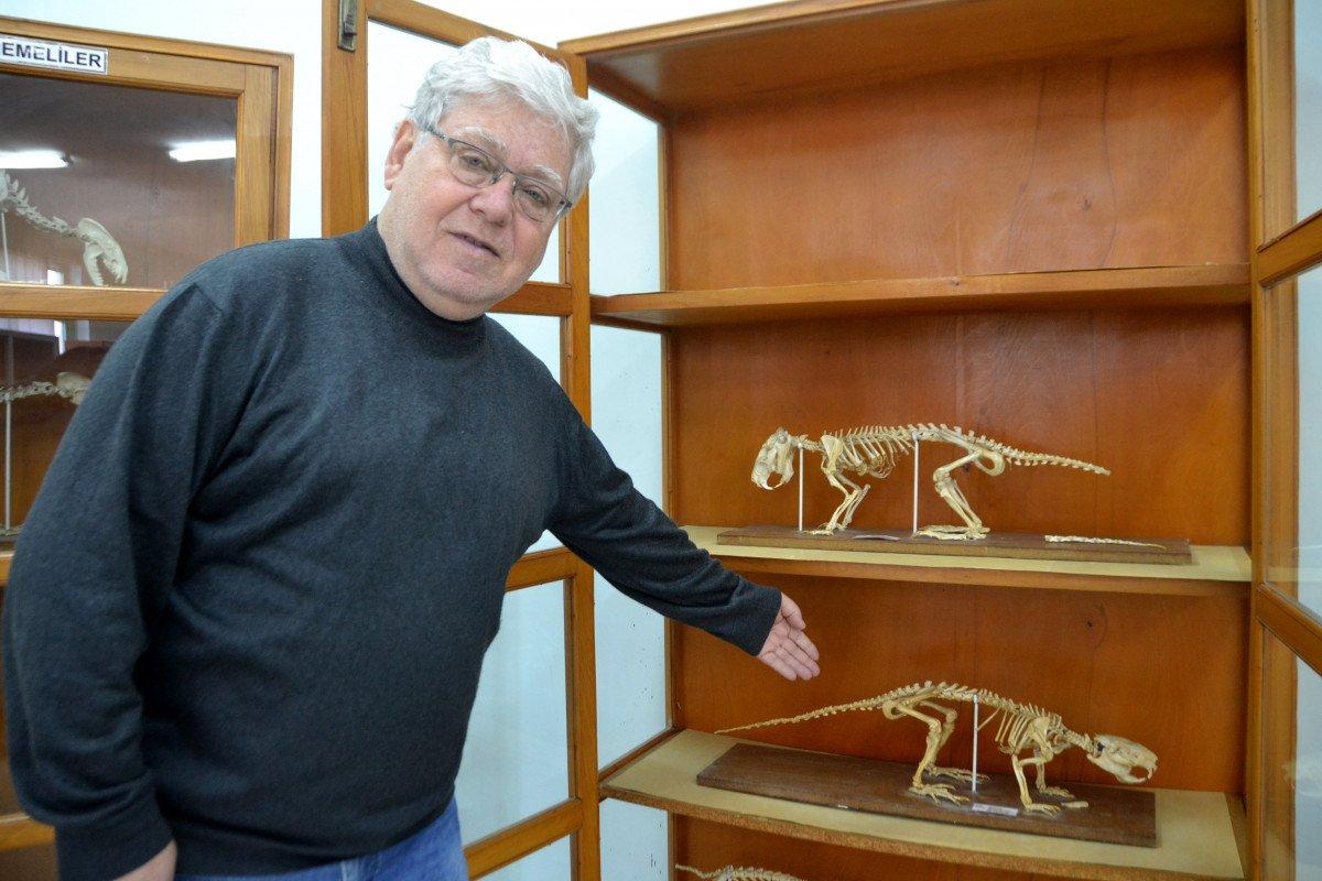 Edirne’de su maymunlarının popülasyonu arttı