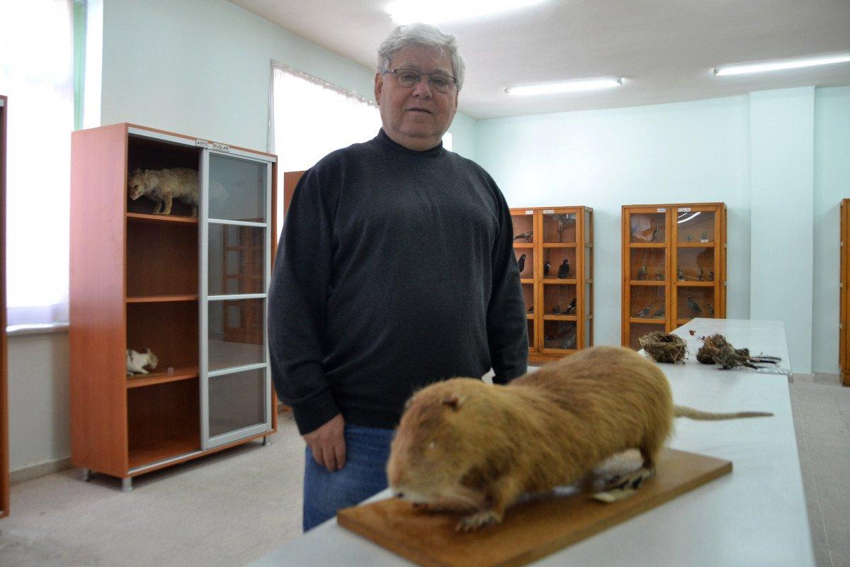 Edirne’de su maymunlarının popülasyonu arttı