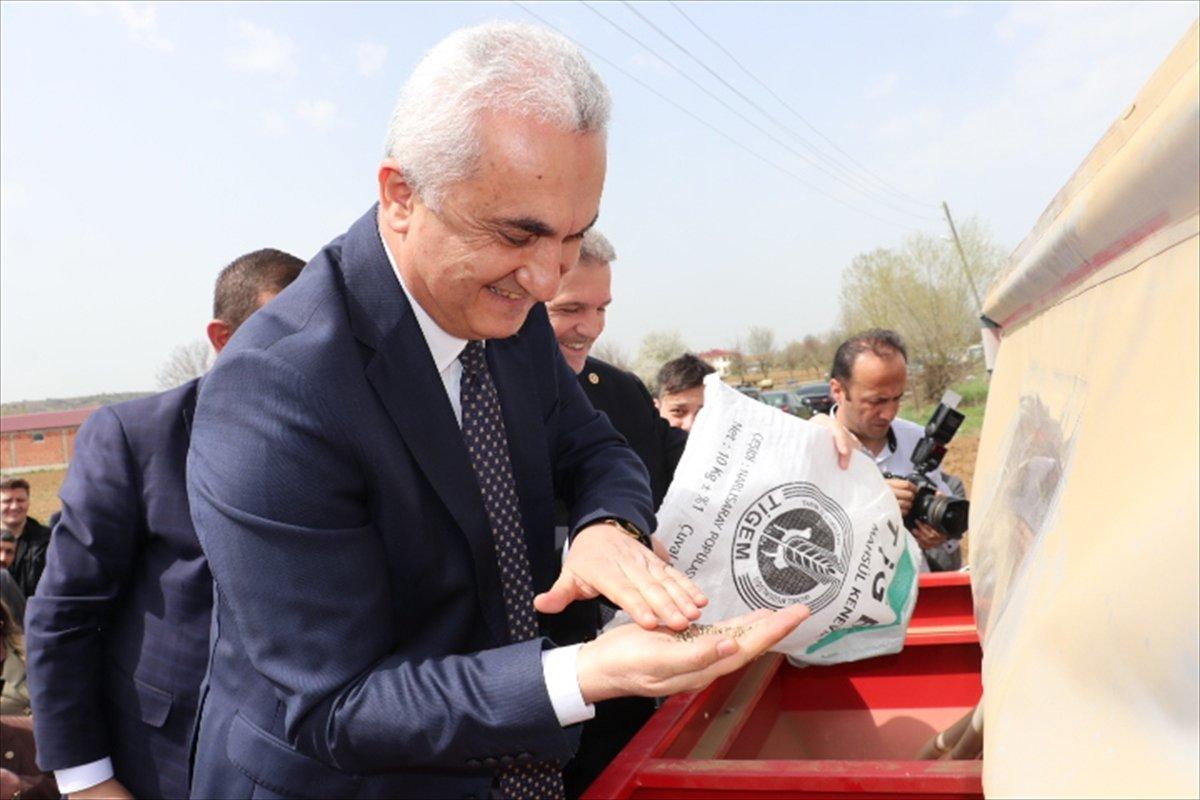 Kastamonu'da kendir ekildi