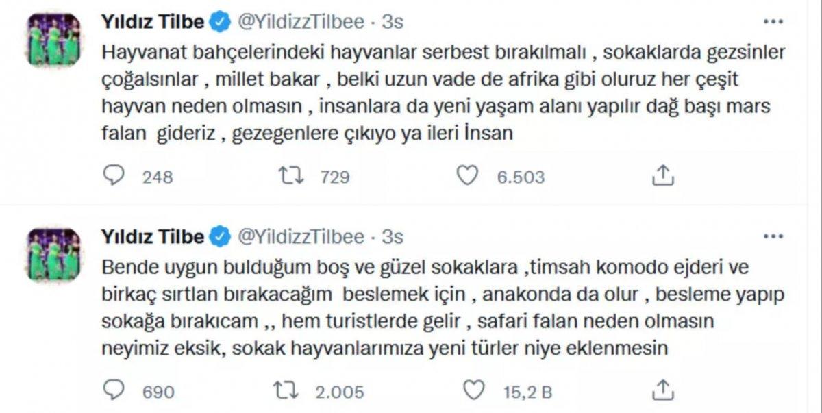 Yıldız Tilbe: Sokaklara, timsah, komodo ejderi ve sırtlan bırakacağım