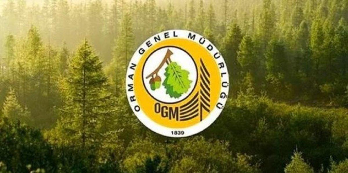 OGM personel alımı başvuru sonuçları: Orman Genel Müdürlüğü 5 bin işçi alımı kura çekimi ne zaman?