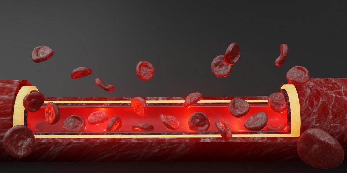 Kötü kolesterolü düşürmek için en iyi 8 besin