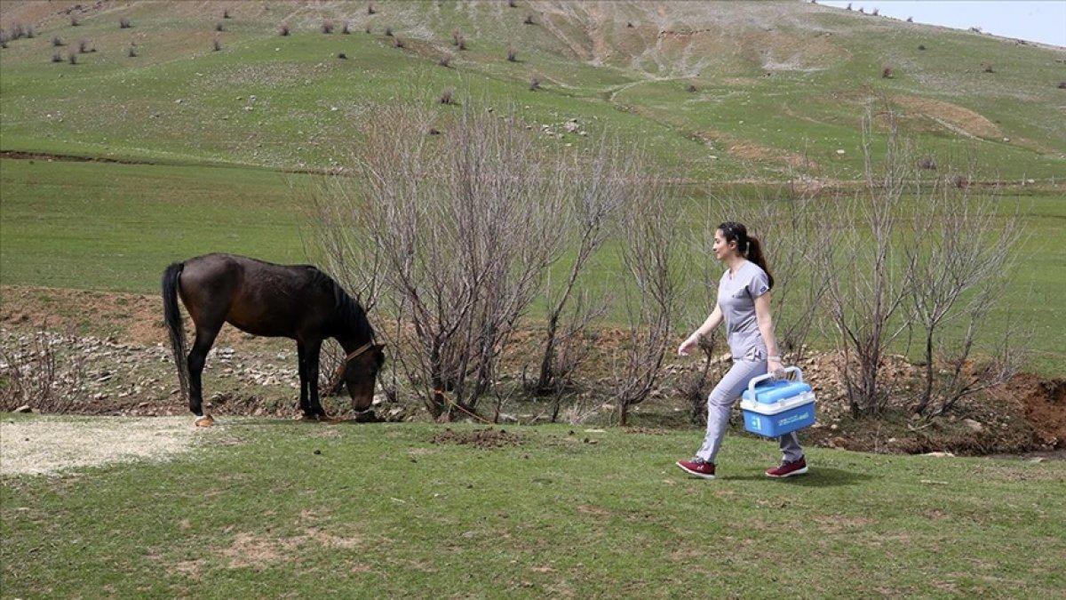 Muş'ta görevli Kader ebe, fedakarlığıyla köylülerin kalbini kazandı