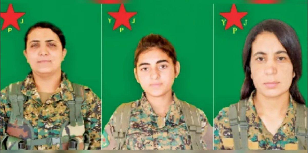 MİT'ten HDP'nin sırtını dayadığı teröristlere operasyon