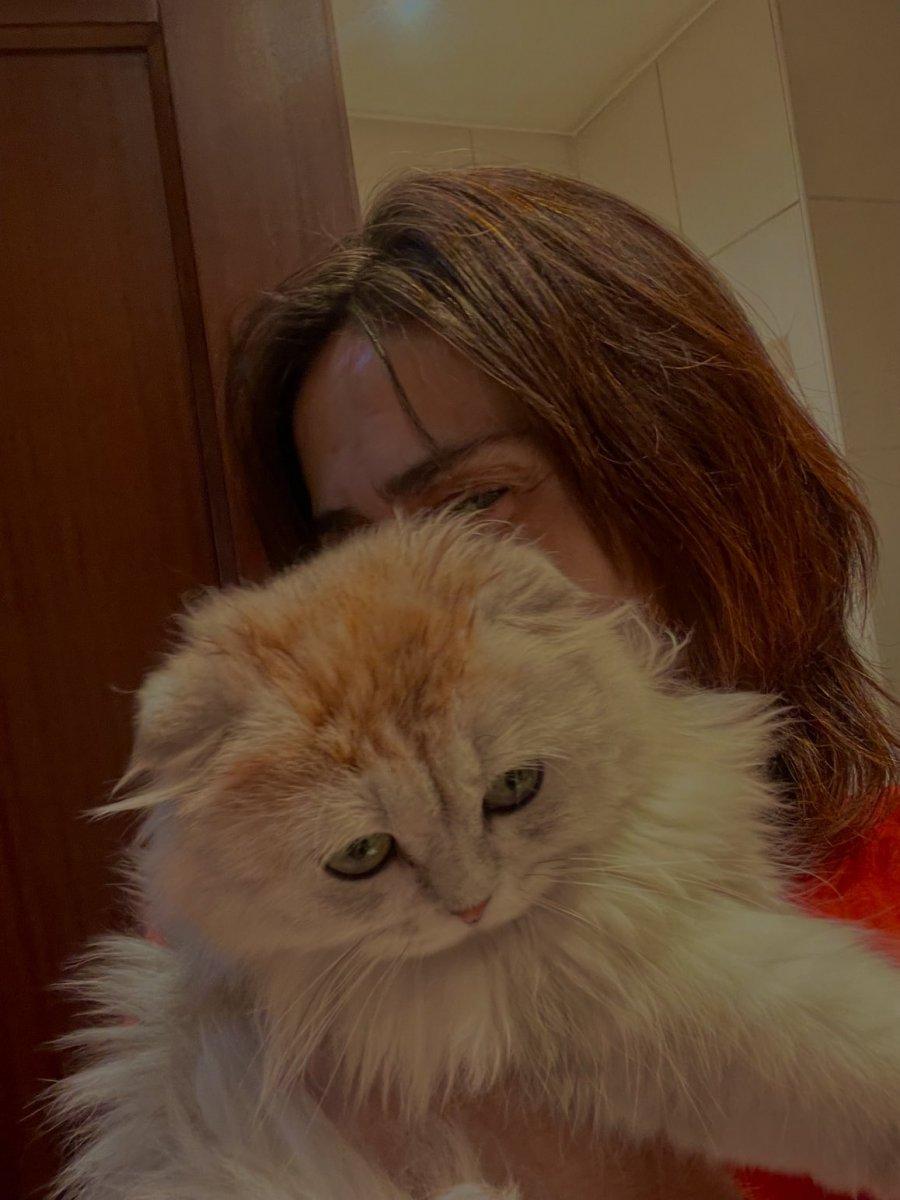 Yıldız Tilbe, kedisini boyadı