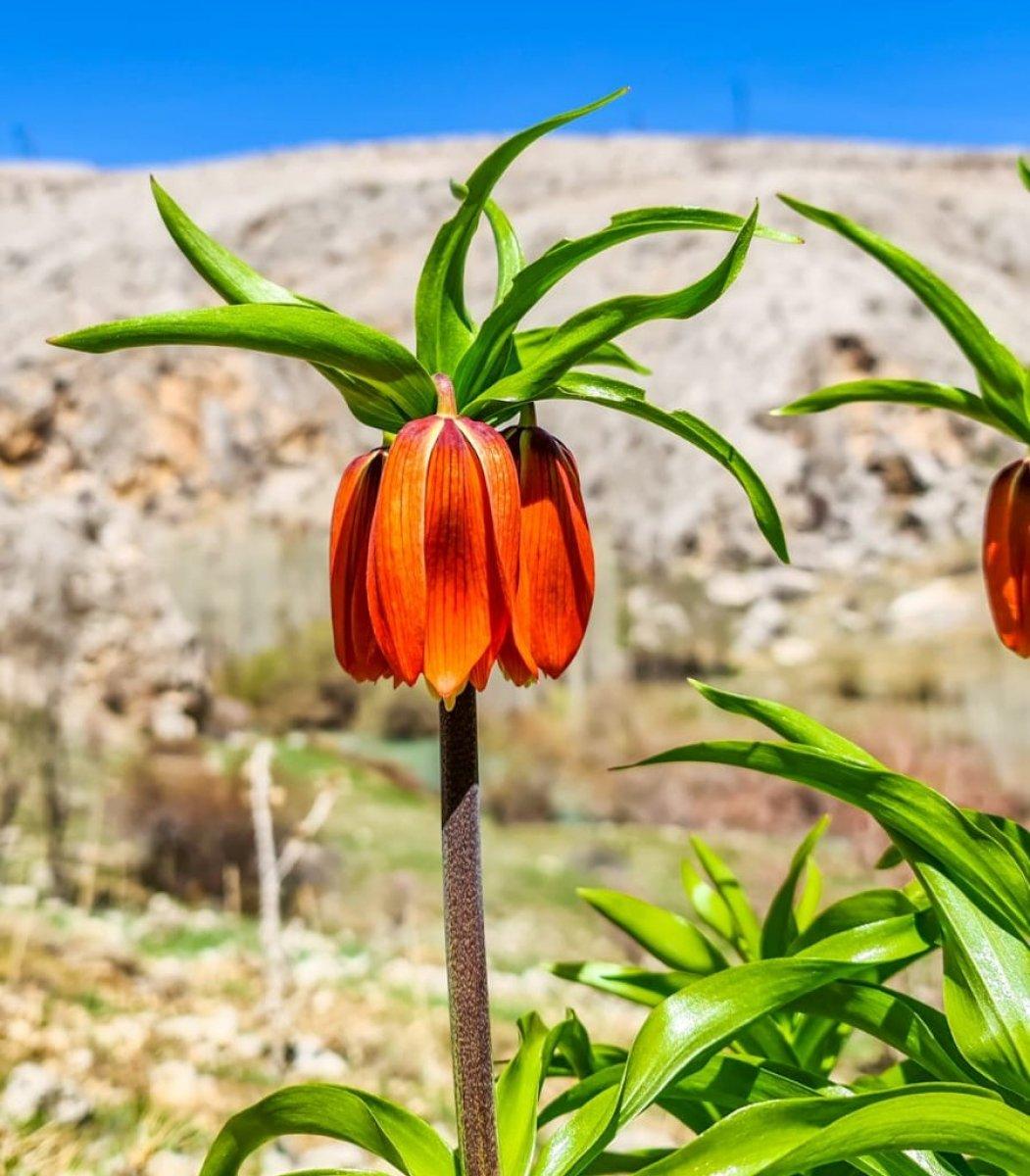 Ağlayan gelin çiçeğini koparmanın cezası 80 bin TL